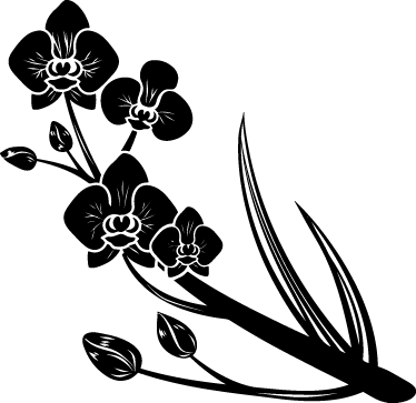 Vinilo Decorativo Orquídeas - Black Women And Singlehood: From Our Perspective (374x363), Png Download