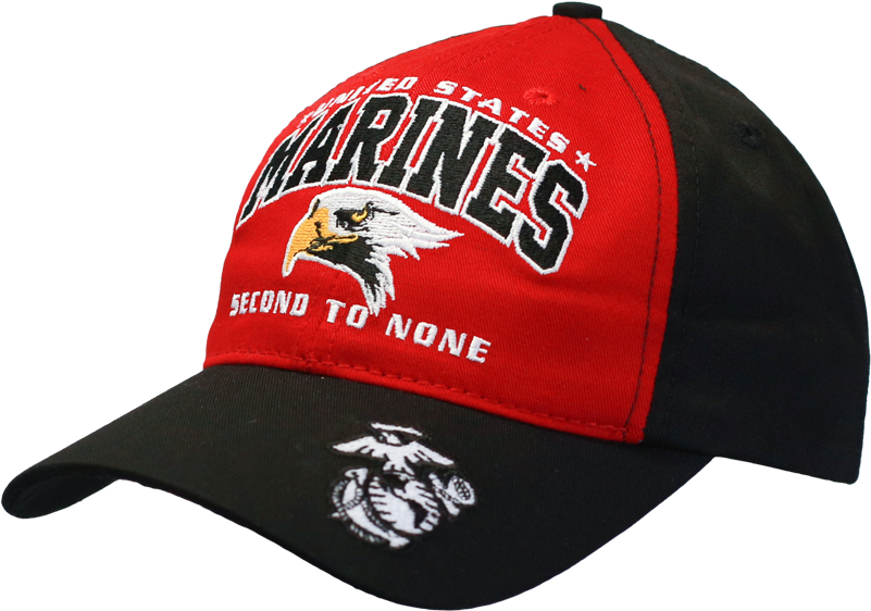 Shinsuke Nakamura (800x800), Png Download