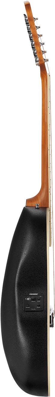 Applause® Specialty 12-string - Guitar (1000x1384), Png Download