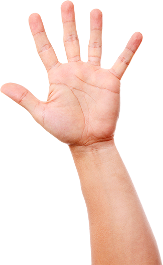 I Don't Drink Alcohol, Smoking, Nor Doing Illegal Drugs - Capsule (325x527), Png Download