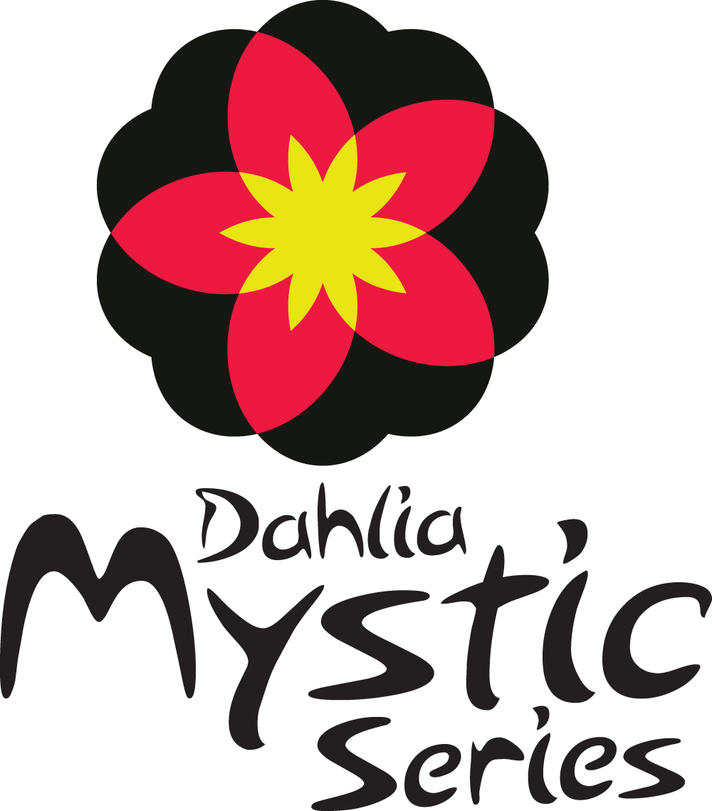 Dahlia Mystic Wonder Pbraf - Dahlia (1000x1138), Png Download