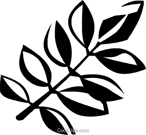 Algarrobo Negro Libres De Derechos Ilustraciones De (480x444), Png Download