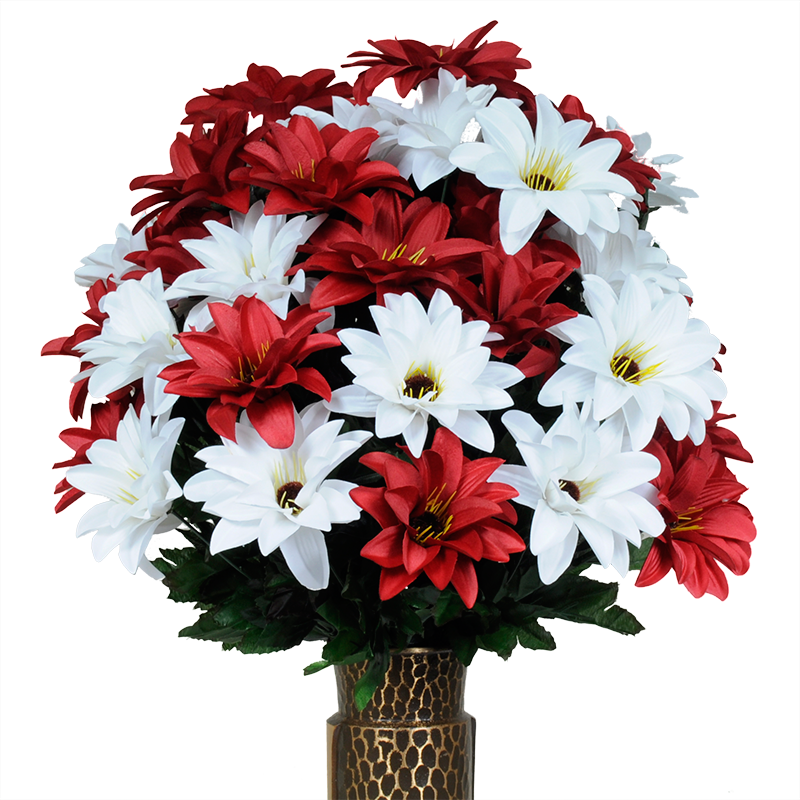 Red & White Dahlia - Dahlia (800x800), Png Download