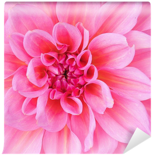 Painting (400x400), Png Download