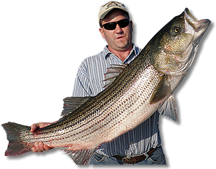 U - S - C - G - Certified For Up To Six Passengers - Pull Fish Out Of Water (445x344), Png Download