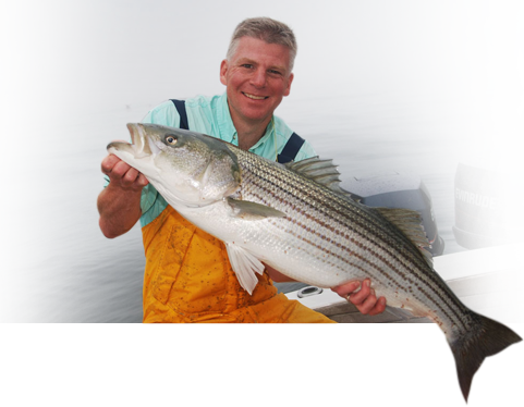 Click Here To Visit New England Fishing - New England Fish (481x374), Png Download