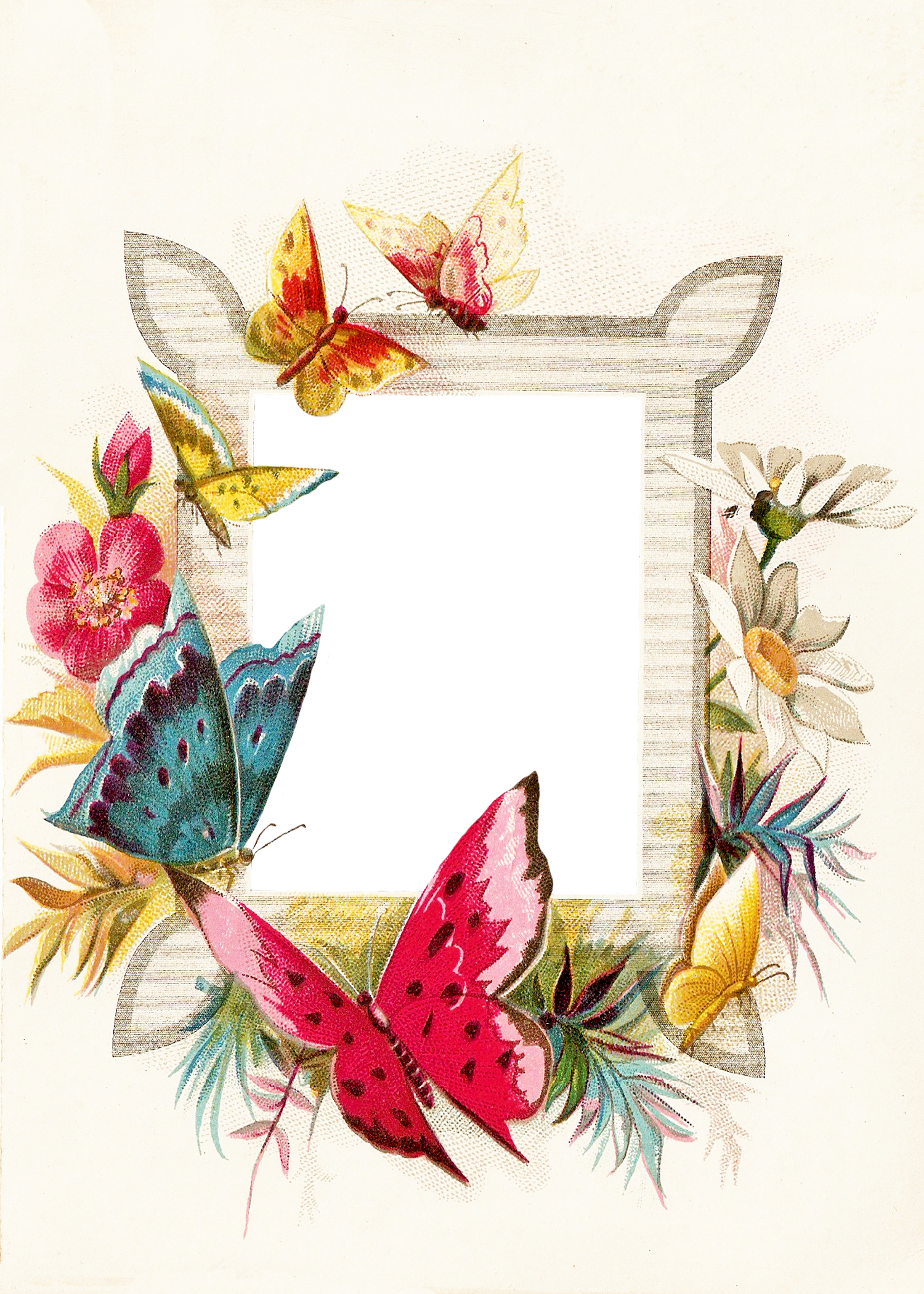 Frame Butterflies - Border Template Ant And Butterfly (1500x2100), Png Download