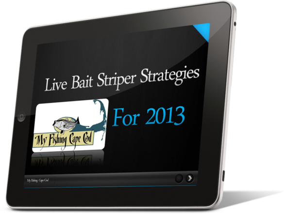 Ipadhorizontalleft - Fishing (587x442), Png Download