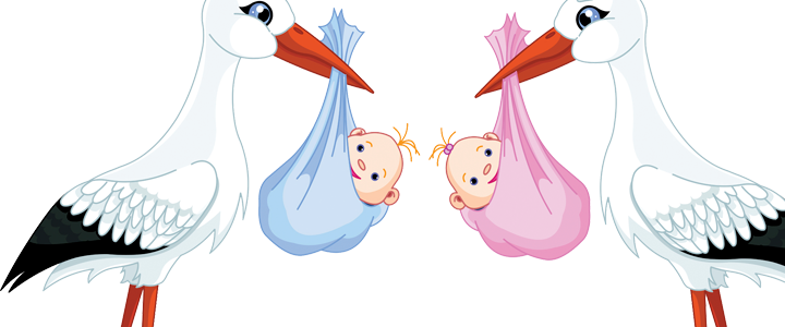 Lista De Nacimiento Del Bebe - Cegonha Com Bebe Png (720x300), Png Download