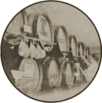 Diapositivas-3 - Reversal Film (350x500), Png Download