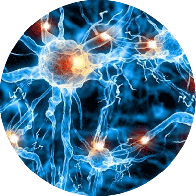 Damaged-nerves - Moving Pictures Of Science (400x400), Png Download