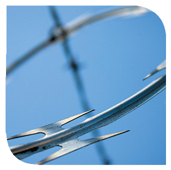 Razor-wire - Razor Wire (444x480), Png Download