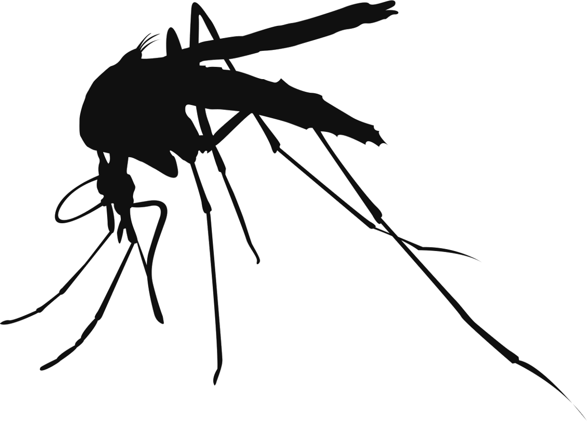Mosquito Control Services - 5 Diseases Caused By Mosquitoes (1200x862), Png Download