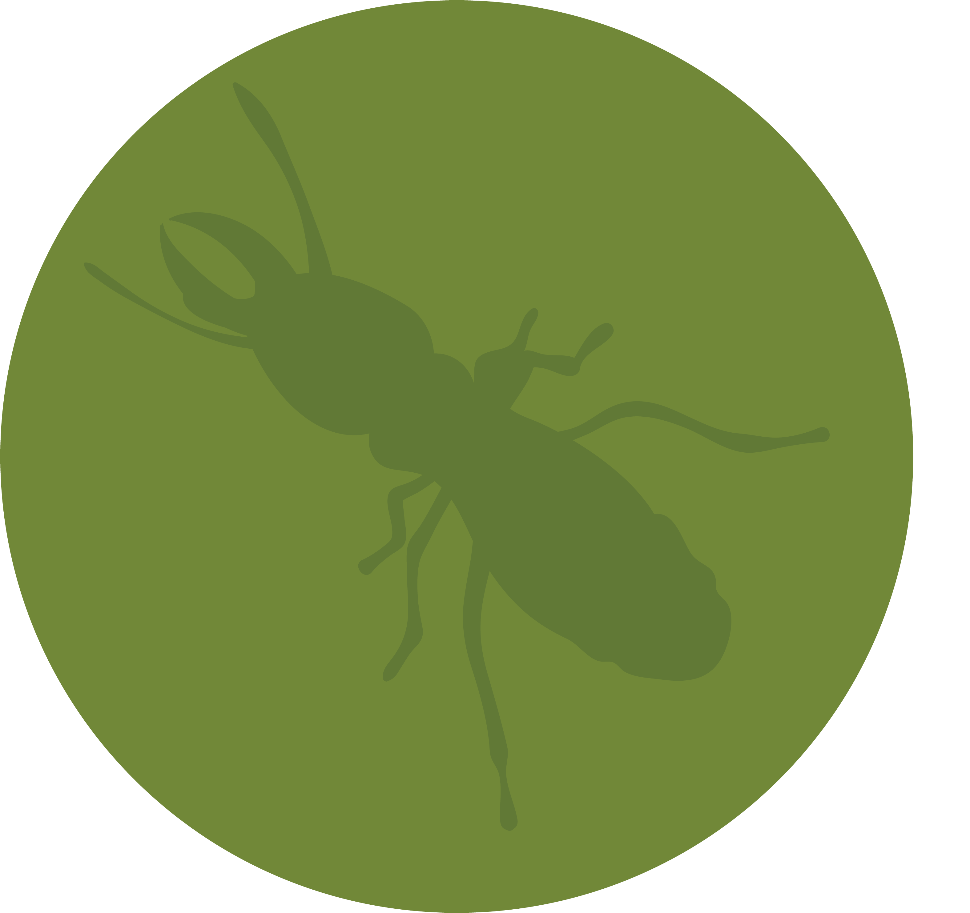 Termite Repair Warranty - Fly (3334x3334), Png Download