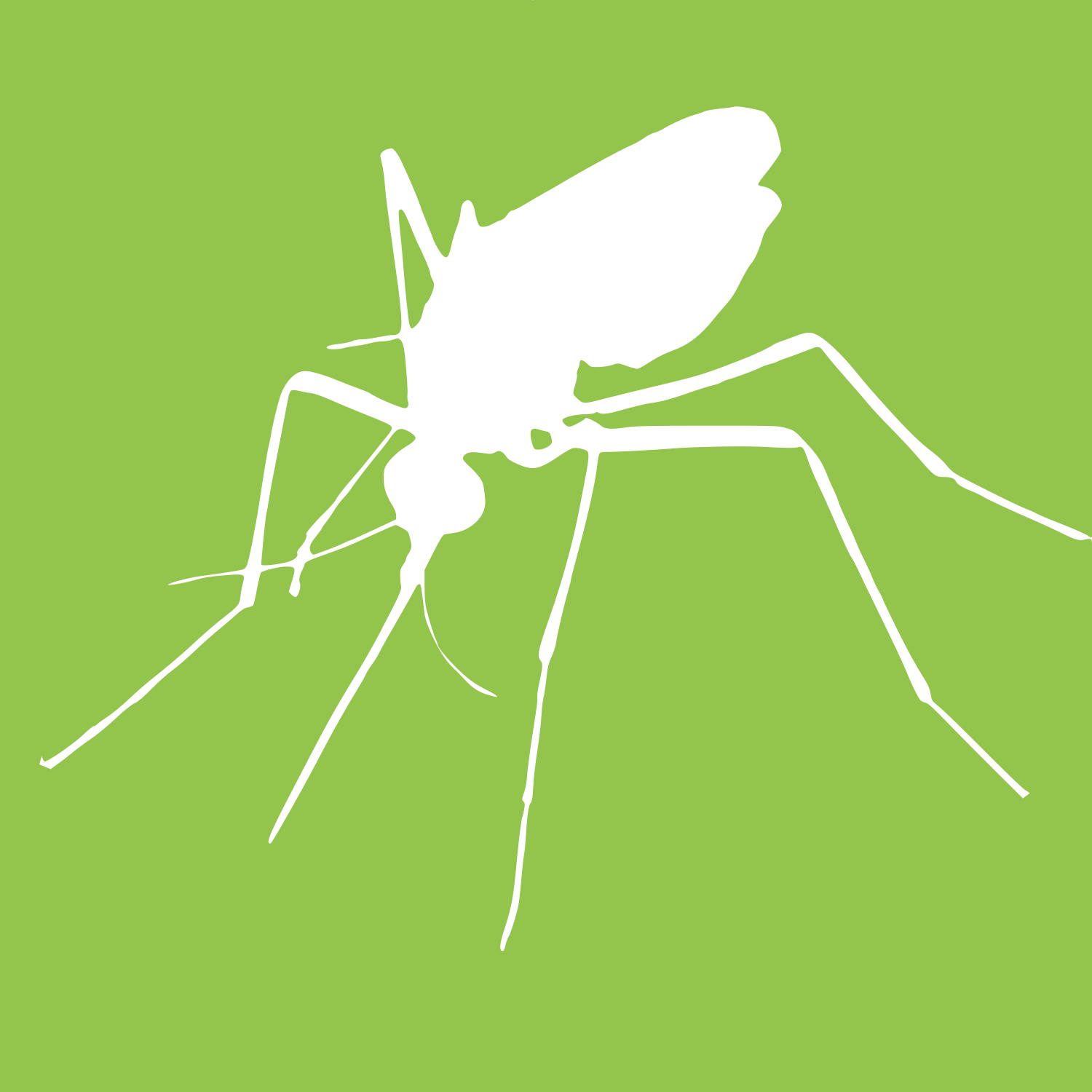 Mosquito (1500x1500), Png Download