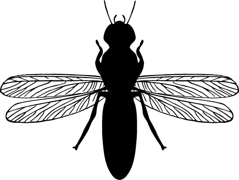 Straight Antenna - Termite (491x371), Png Download