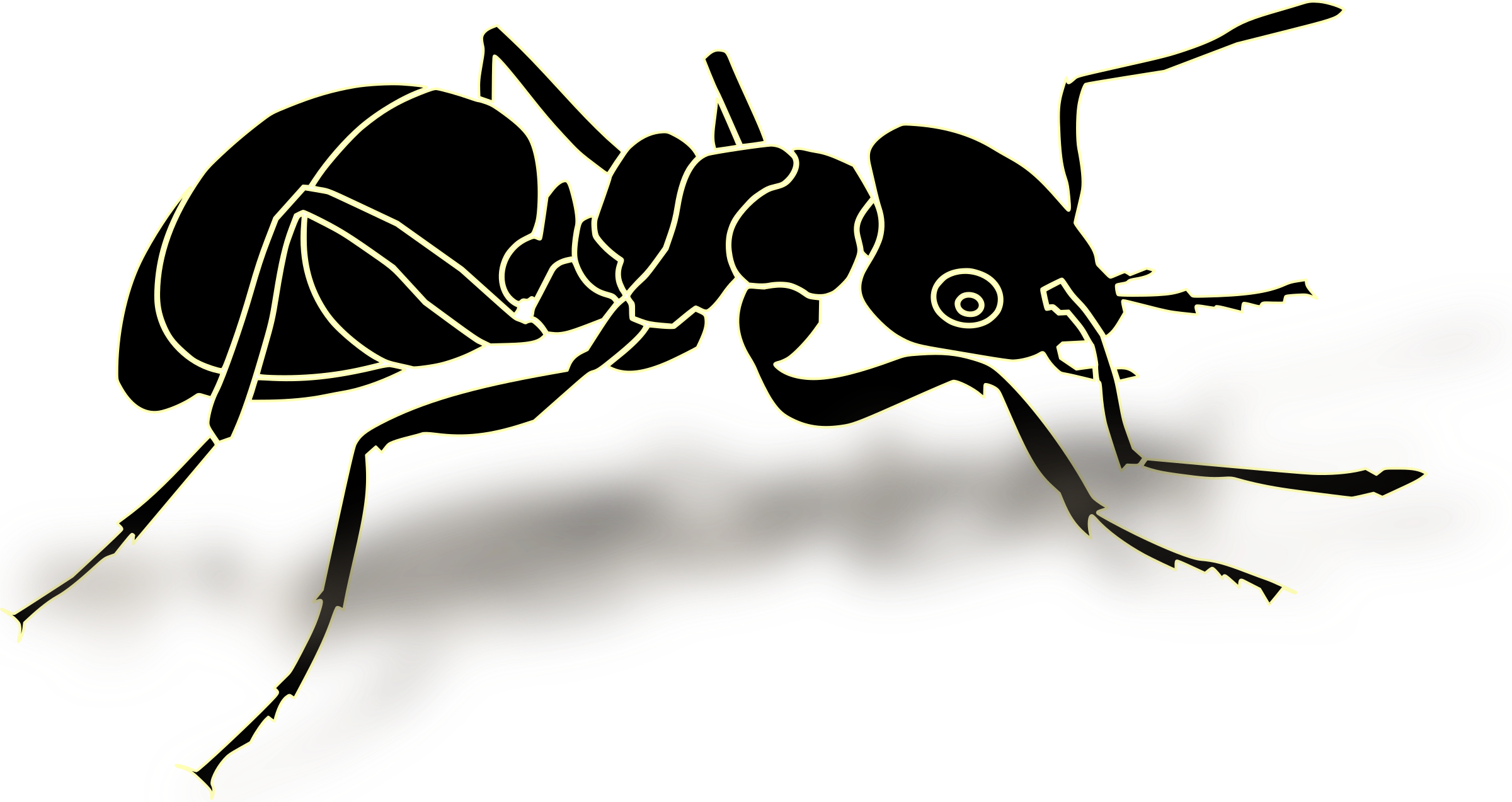 Big Image - Formiga Png (2400x1273), Png Download