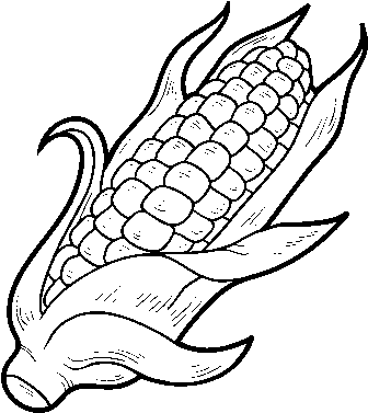 Maiz Dibujo Png - Maiz Dibujo (600x470), Png Download