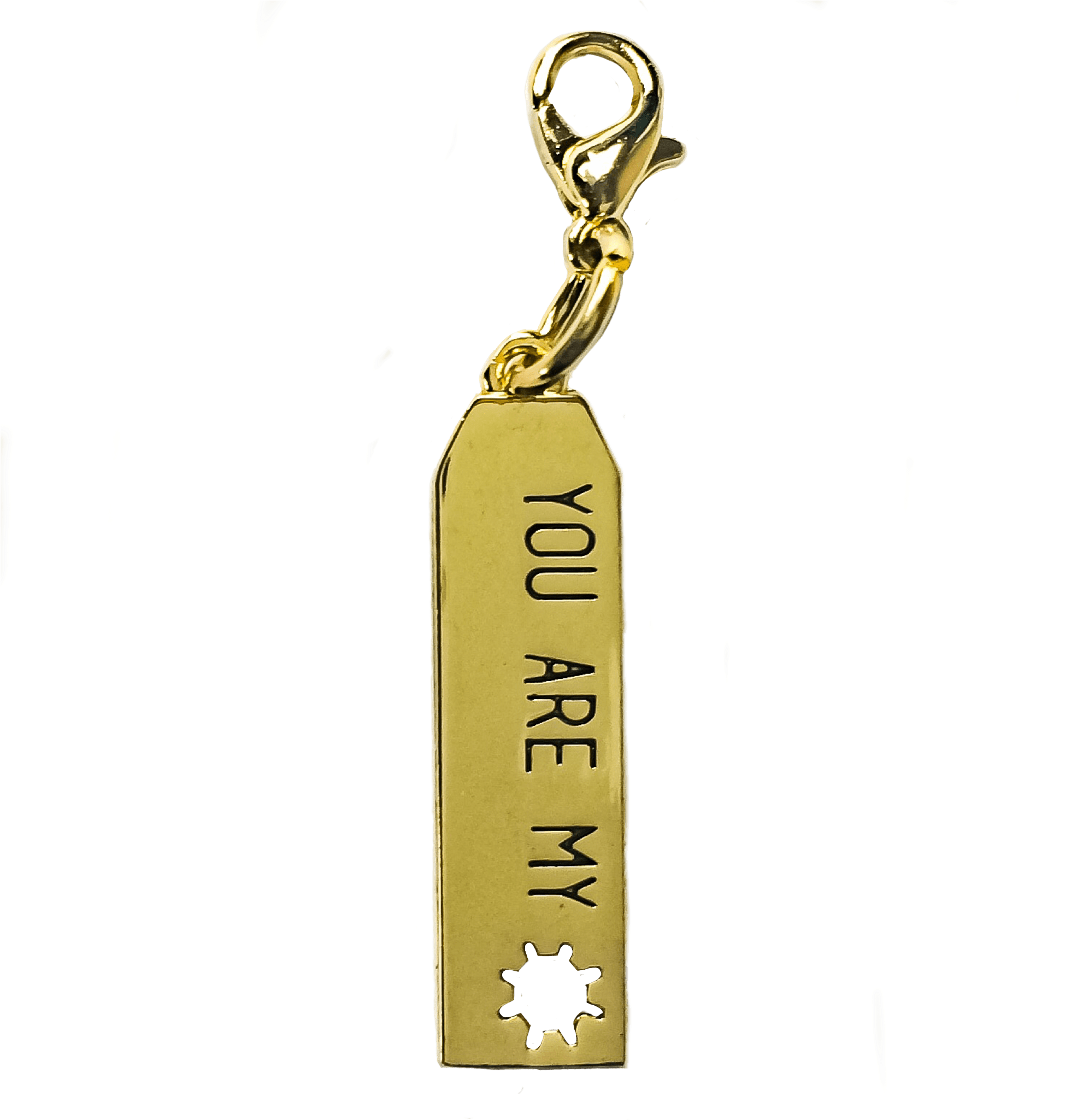 You Are My Sunshine Tag - Keychain (2048x2048), Png Download