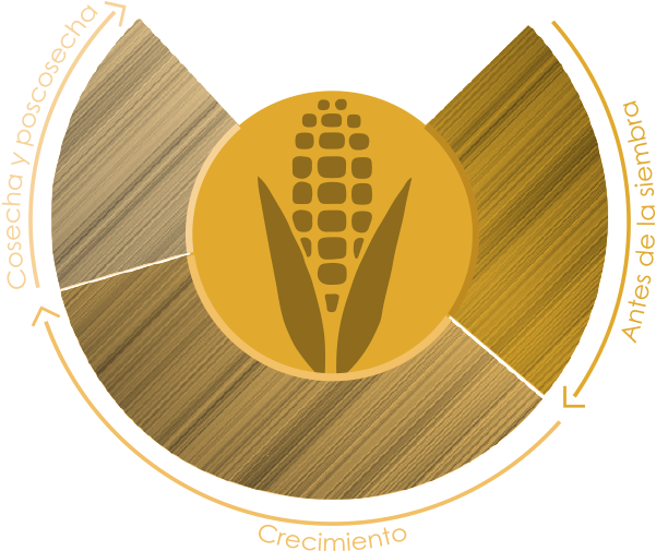 Maize (600x514), Png Download