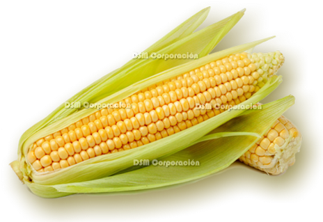 Ingredients - - Intercropping And Weed Management Practices In Maize (480x320), Png Download