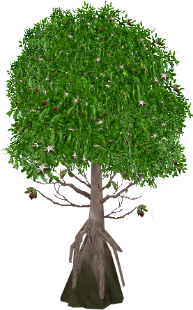 Tea Mangrove - Wurzelwerk Baum (443x443), Png Download