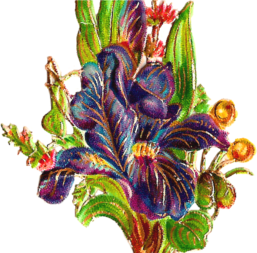 Free Flower Graphic - Flower (1368x855), Png Download