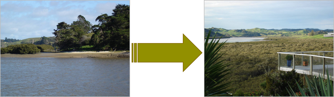 How To Grow A Mangrove Forest - Tree (1317x386), Png Download