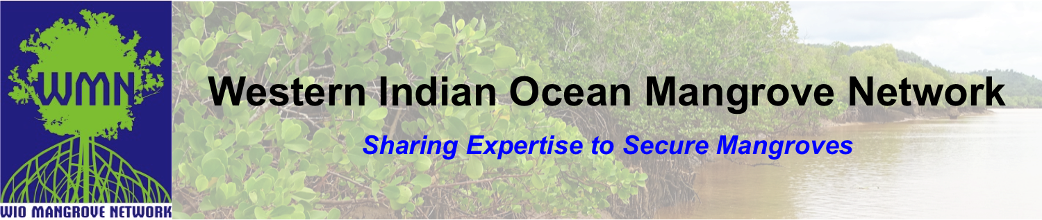 Mangrove (1500x317), Png Download