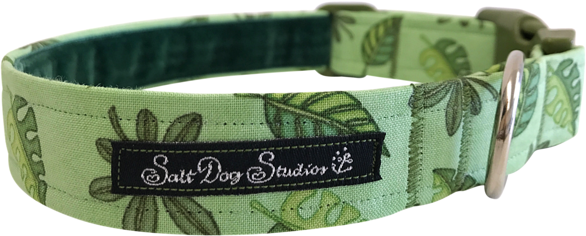 Image - Belt (1280x960), Png Download