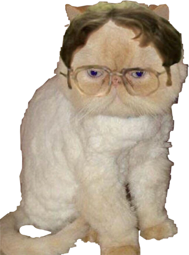 Report Abuse - Angela The Office Cat (647x875), Png Download