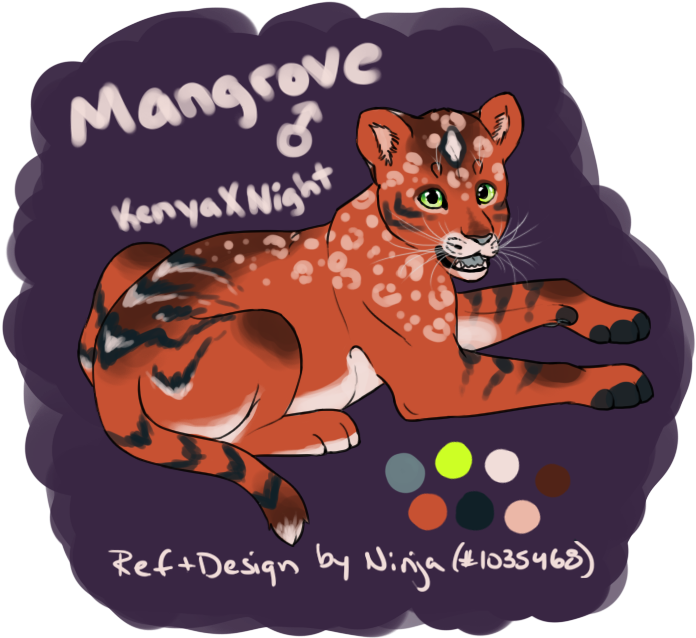 Mixed Big Cat - Illustration (720x664), Png Download