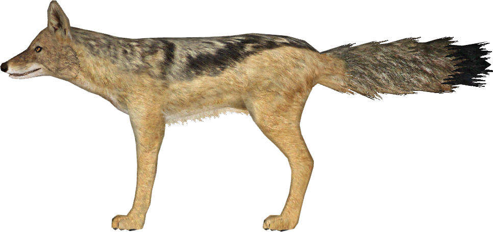 Http - //i - Imgur - Com/tt74i9m - Zoo Tycoon 2 Jackal (966x454), Png Download