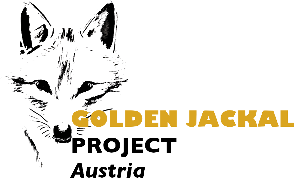 Golden Jackal Project In Austria (996x834), Png Download