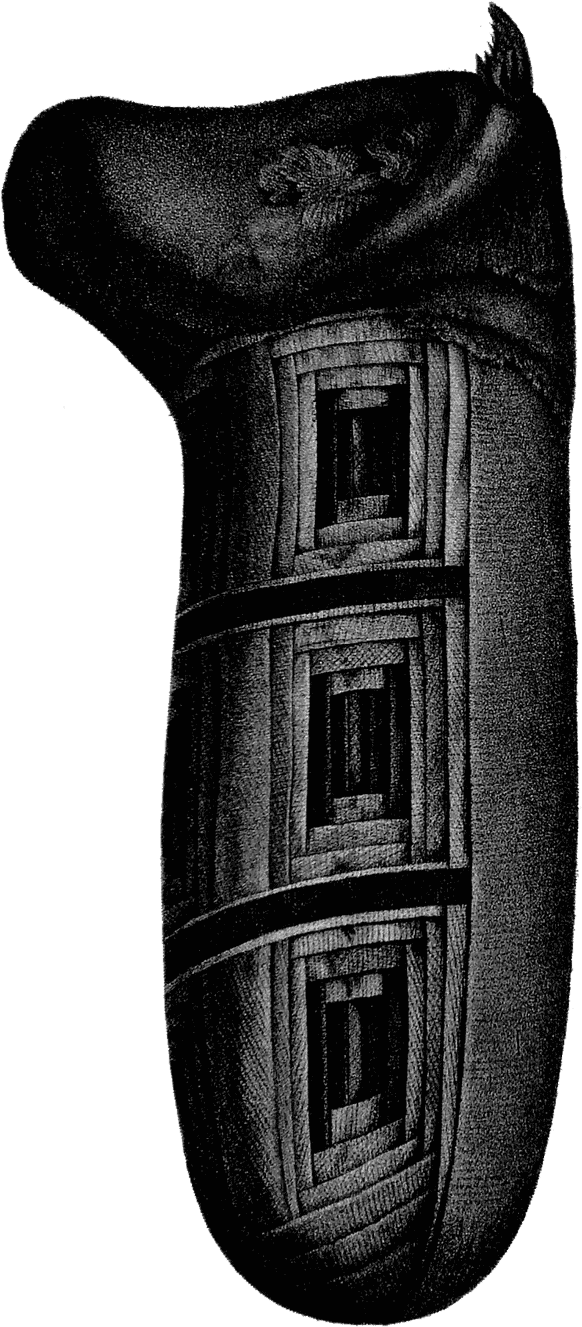 Dog Mummies - Dog (600x1333), Png Download