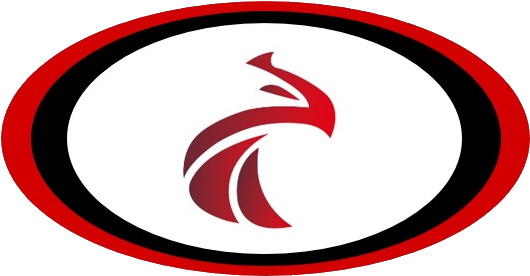Falcon Racing Logo, Falcon Rowing, Falcon Racing Shells, - Rowing (536x282), Png Download