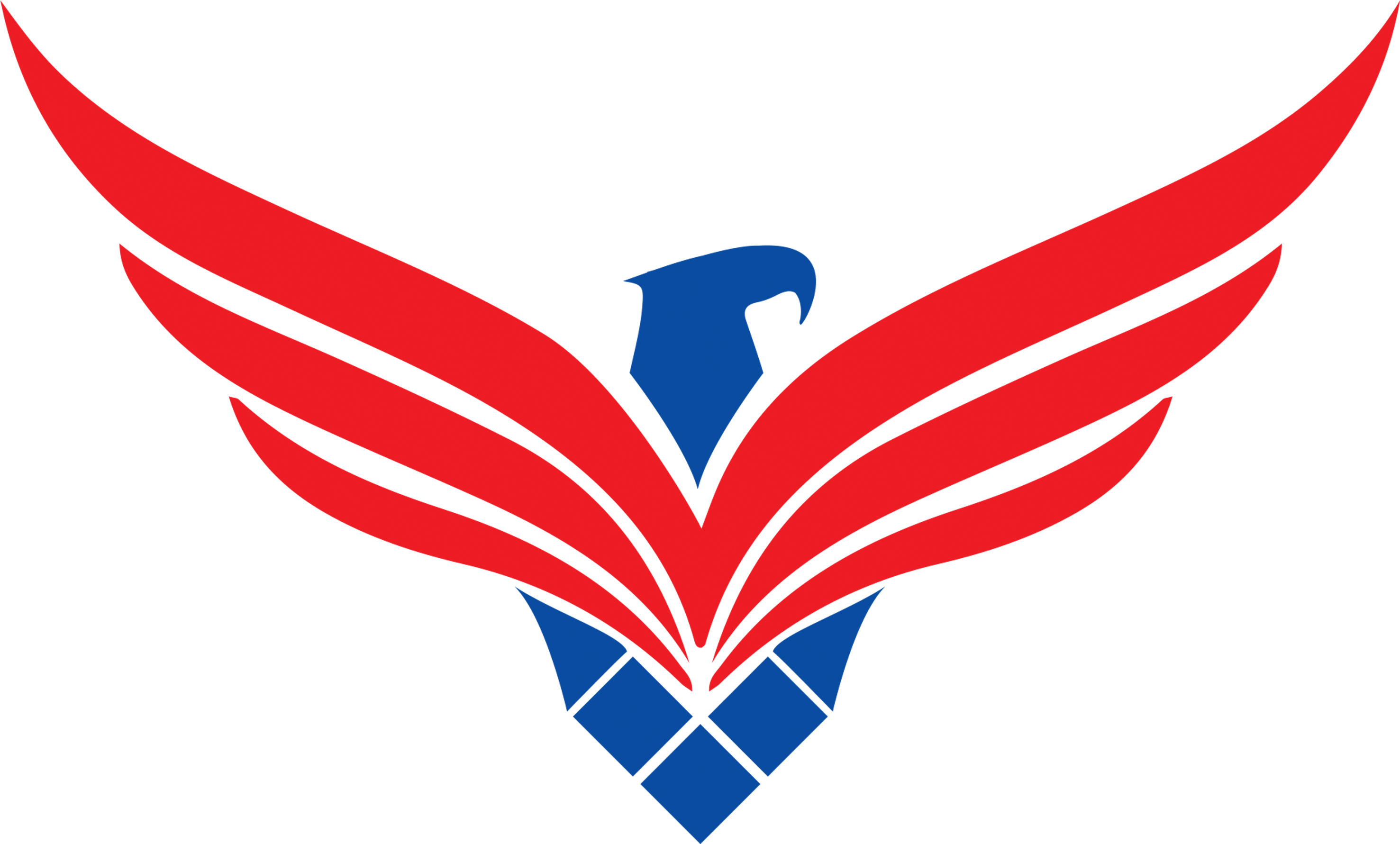 Falcon Head Logo Png Download - Booth Fickett Falcons (3300x2550), Png Download