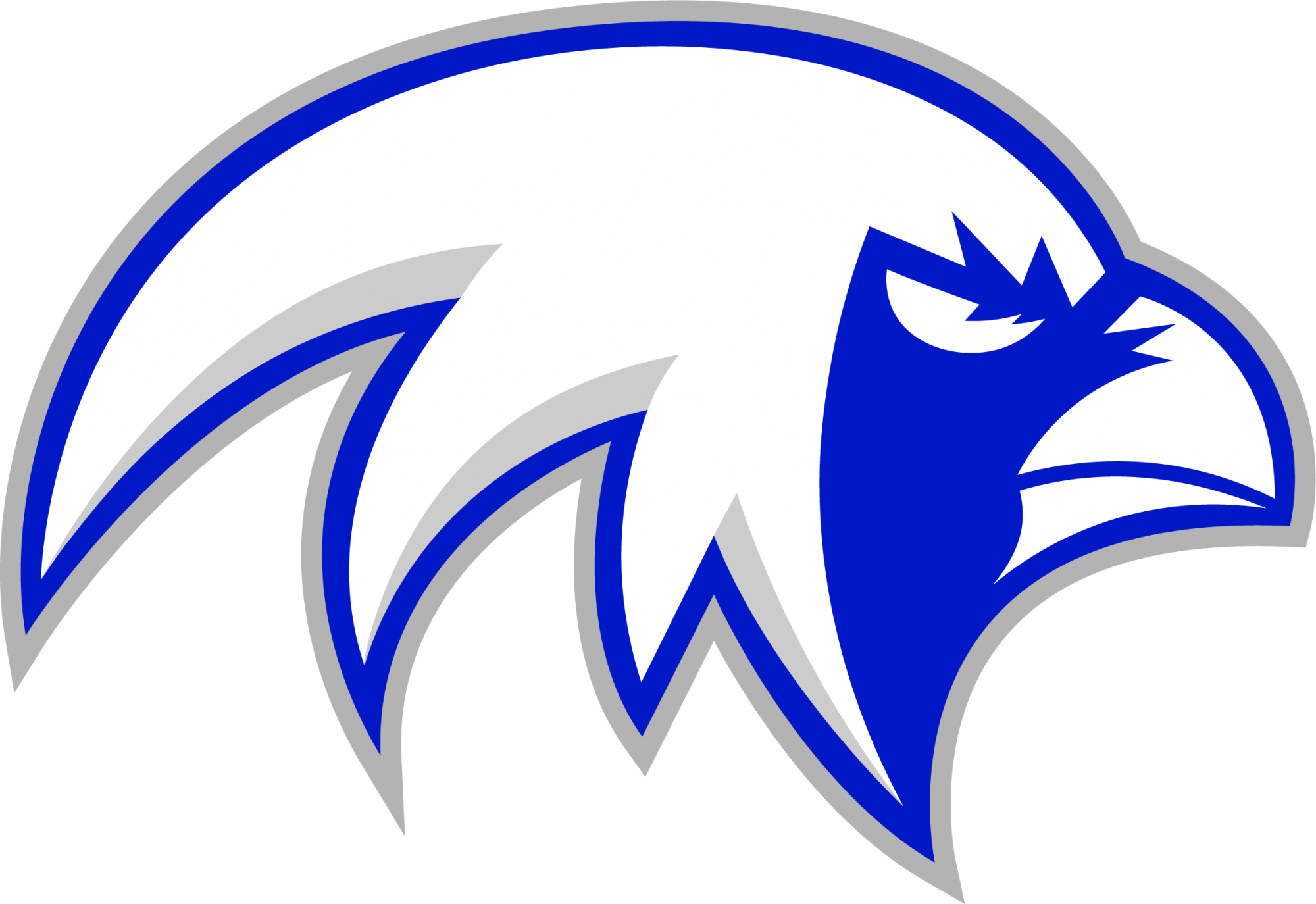 Falcon Logo Png - Logo (2000x1374), Png Download