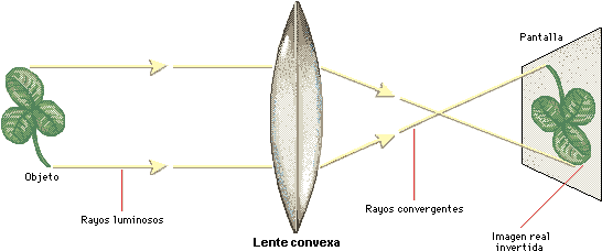Gaudiano Trinidad - Optica Fisica Imagen Real (586x268), Png Download