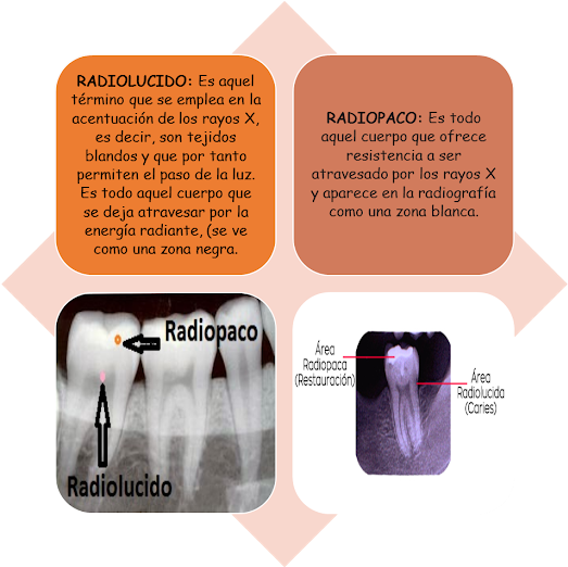 Radio (640x521), Png Download