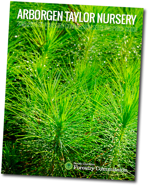 15 Jun - Price (485x600), Png Download