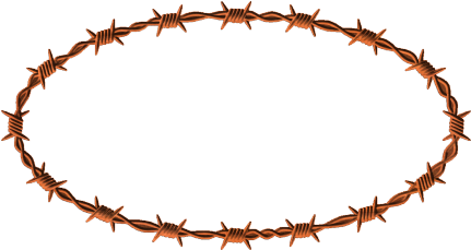 Barbed Wire Border Png Barb Wire Border 3barbed Wire - Circle (430x430), Png Download