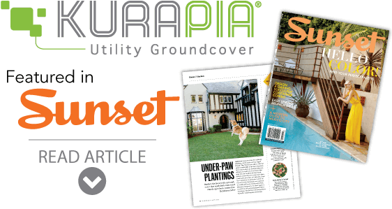 Kurapia Featured In Sunset - Sunset Mountain Escapes: The Best Of The Cascades, (580x315), Png Download