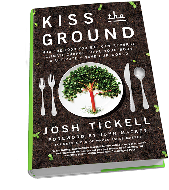 Best "grow Your Own" Books To Read Over The Holidays - Kiss The Ground: How The Food You Eat Can Reverse Climate (368x395), Png Download