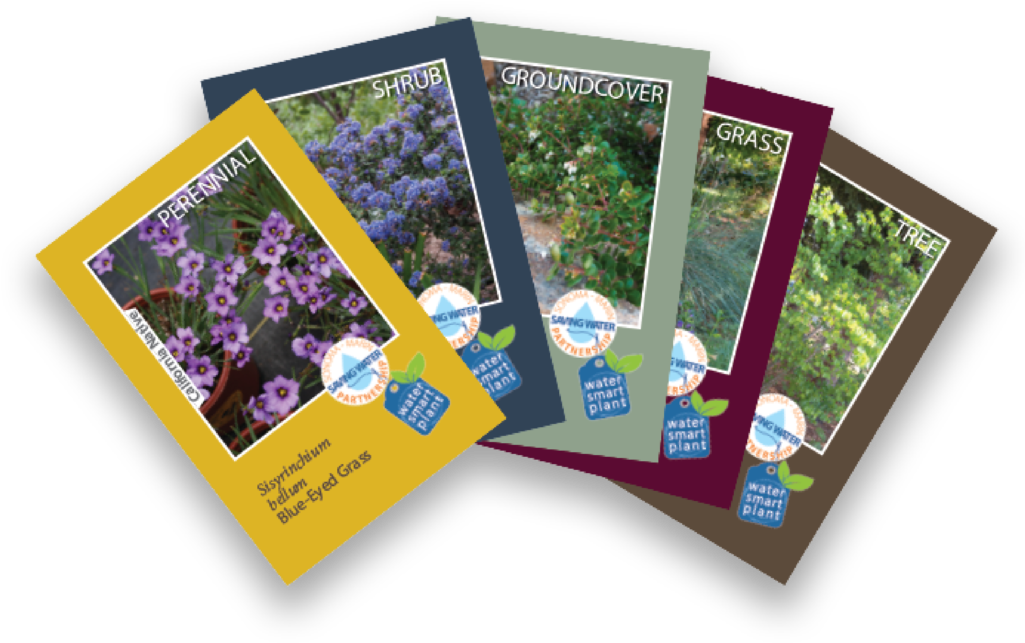 The Sonoma-marin Saving Water Partnership Is Pleased - Sonoma (1024x683), Png Download