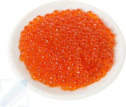 Salmon Caviar Ikura Oncorhynchus Kisutch, Oncorhynchus - Caviar (575x490), Png Download