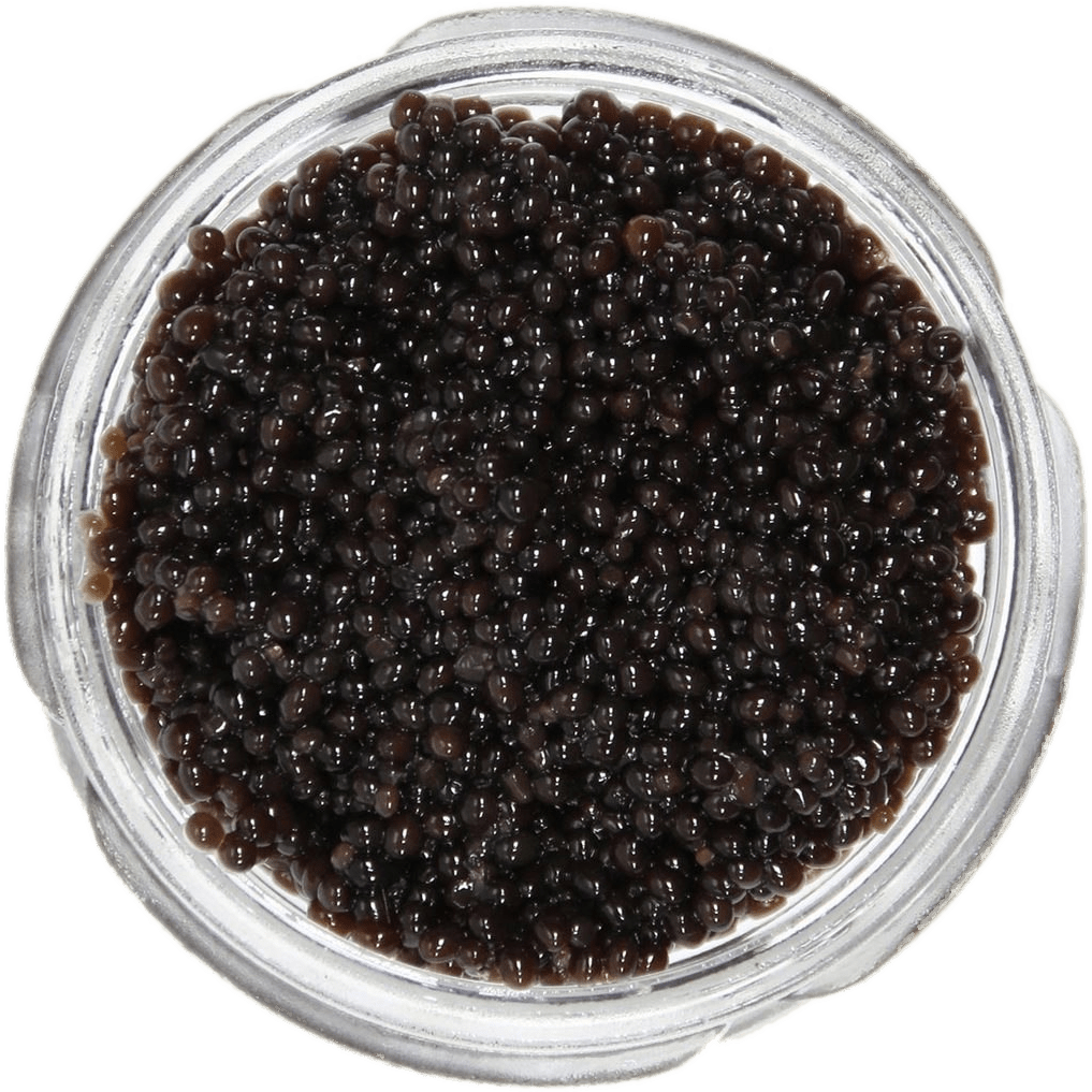 Food - Caviar - American Bowfin Caviar (1280x1280), Png Download