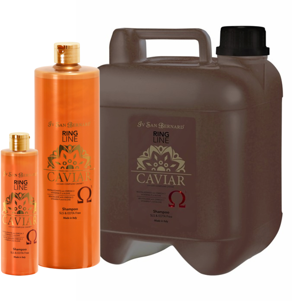 Caviarshp (1247x1230), Png Download