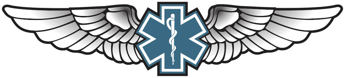 Just Wings - Star Of Life (1100x250), Png Download