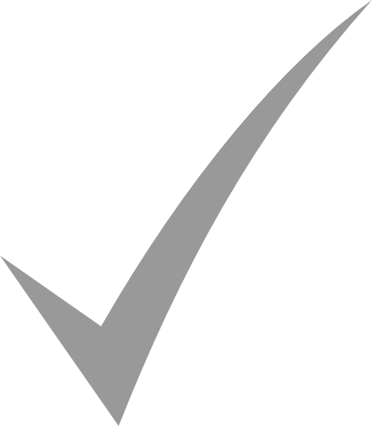 Check Mark Png - Gray Check Mark Png (522x598), Png Download